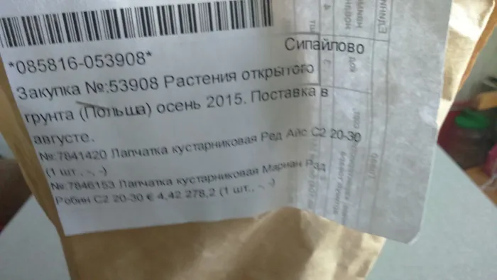 -изображение-