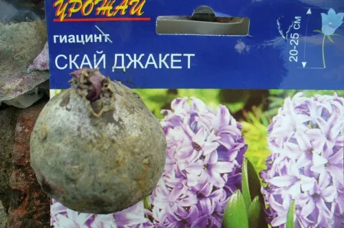 -изображение-