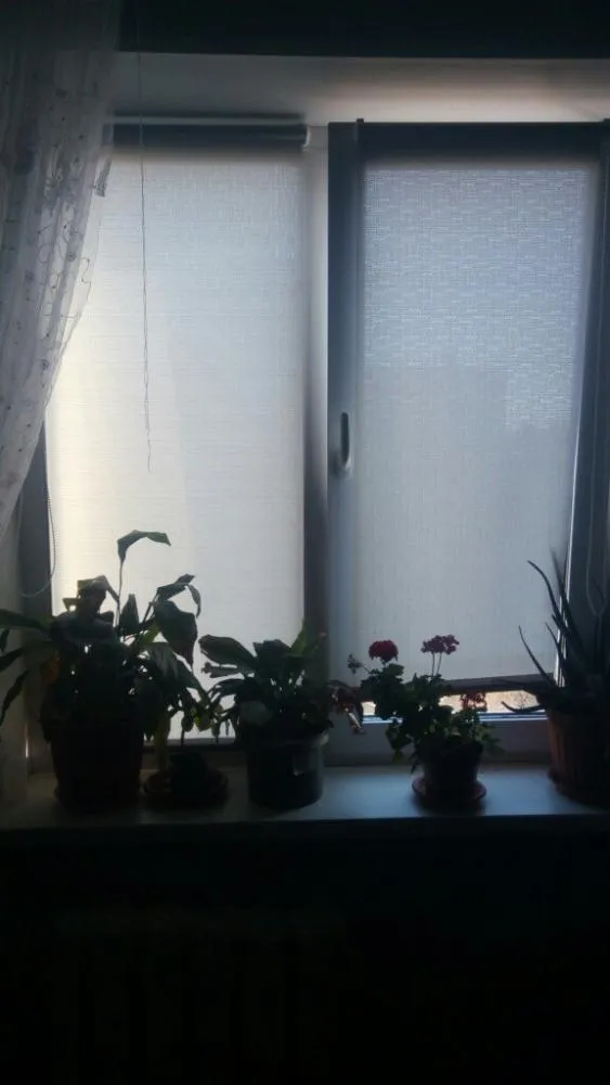 -изображение-