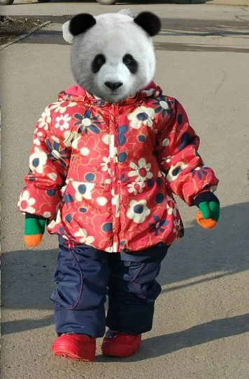 -изображение-