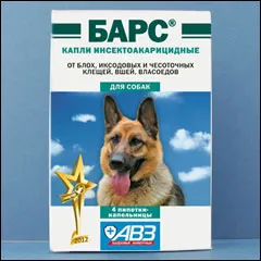 -изображение-
