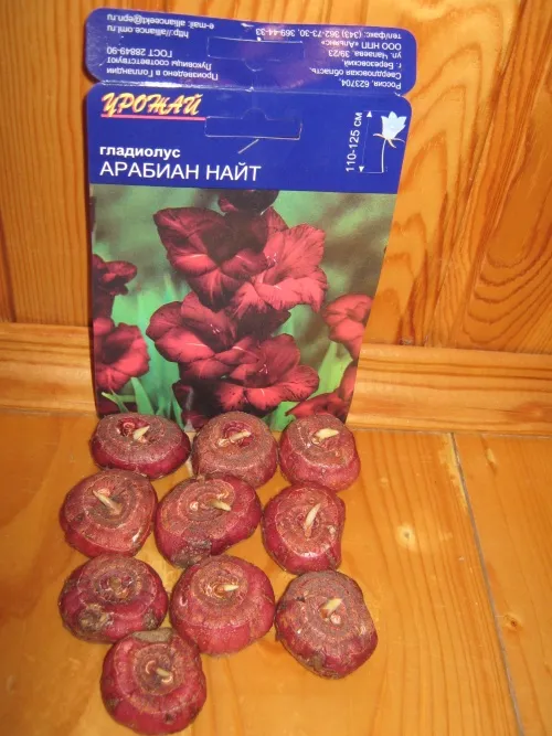 -изображение-