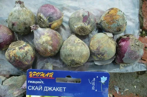 -изображение-